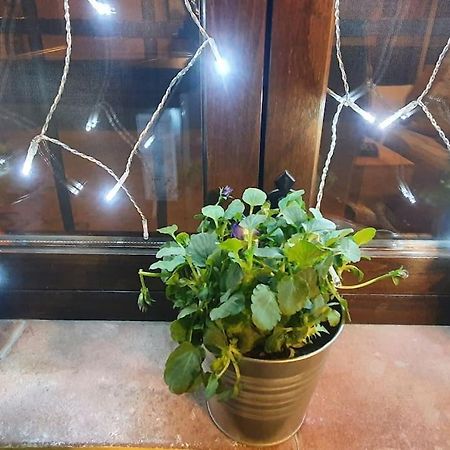 Apartamento Sefardi, Barrio Judio De 헤바스 외부 사진